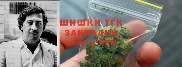 МДПВ Пересвет